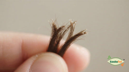 Sadafal Almond Oil for Hair applied to hair ends to fix split ends